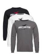 Hco. Guys Graphics Tops T-Langærmet Skjorte Black Hollister