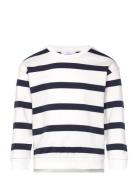 Striped Print Sweatshirt Tops Sweatshirts & Hoodies Sweatshirts Navy M...