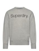 Core Logo City Loose Crew Tops Sweatshirts & Hoodies Sweatshirts Grey ...