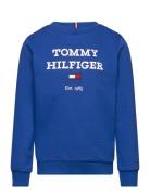 Th Logo Sweatshirt Tops Sweatshirts & Hoodies Sweatshirts Blue Tommy H...