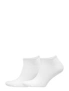 Th Women Sneaker 2P Lingerie Socks Footies-ankle Socks White Tommy Hil...