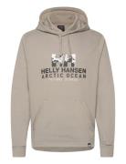 Arctic Ocean Hoodie Tops Sweatshirts & Hoodies Hoodies Beige Helly Han...