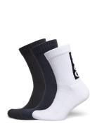 3P Qs Since93 Cc Underwear Socks Regular Socks Navy HUGO