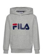 Baj Sport Sweatshirts & Hoodies Hoodies Grey FILA