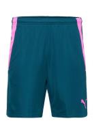 Teamliga Training Shorts 2  Sport Shorts Sport Shorts Blue PUMA