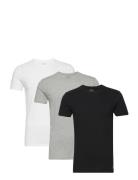 Slim Crewneck 3-Pack Tops T-Kortærmet Skjorte Black Polo Ralph Lauren ...