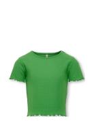 Kognella S/S O-Neck Top Noos Jrs Tops T-Kortærmet Skjorte Green Kids O...