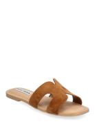 Zarnia Sandal Flade Sandaler Brown Steve Madden