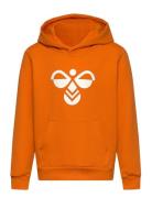 Hmlcuatro Hoodie Sport Sweatshirts & Hoodies Hoodies Orange Hummel