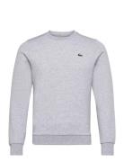 Sweatshirts Tops Sweatshirts & Hoodies Sweatshirts Grey Lacoste