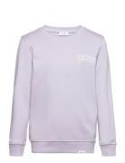 Blake Sweatshirt Kids Tops Sweatshirts & Hoodies Sweatshirts Purple Le...