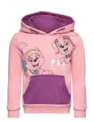 Sweat Kangourou Tops Sweatshirts & Hoodies Hoodies Pink Paw Patrol