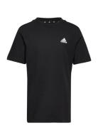 U Sl Tee Tops T-Kortærmet Skjorte Black Adidas Sportswear