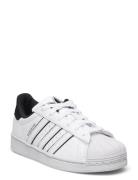 Superstar C Low-top Sneakers White Adidas Originals