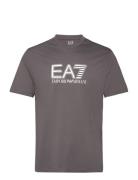 T-Shirt Tops T-Kortærmet Skjorte Grey EA7