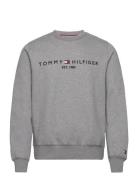 Tommy Logo Sweatshirt Tops Sweatshirts & Hoodies Sweatshirts Grey Tomm...