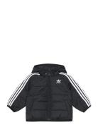 Padded Jacket Foret Jakke Black Adidas Originals