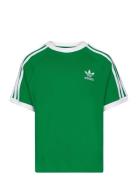 3Stripes Tee Tops T-Kortærmet Skjorte Green Adidas Originals