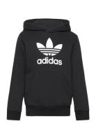 Trefoil Hoodie Tops Sweatshirts & Hoodies Hoodies Black Adidas Origina...