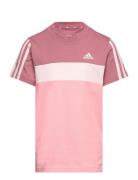 Lk 3S Tib T Tops T-Kortærmet Skjorte Pink Adidas Sportswear