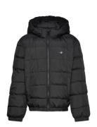 Shield Padded Jacket Foret Jakke Black GANT