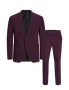 Jprcosta Suit Habit Purple Jack & J S
