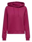 Onplounge Life Hood Ls Swt Noos Sport Sweatshirts & Hoodies Hoodies Pi...