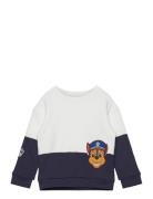 Paw Patrol Sweatshirt Tops Sweatshirts & Hoodies Sweatshirts Multi/pat...