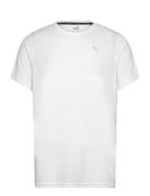 Performance Ss Tee M Sport T-Kortærmet Skjorte White PUMA