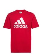 M Bl Sj T Sport T-Kortærmet Skjorte Red Adidas Sportswear