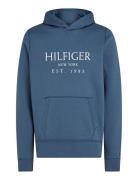 Big Hilfiger Hoody Tops Sweatshirts & Hoodies Hoodies Blue Tommy Hilfi...