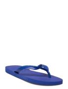 Hav. Top Shoes Summer Shoes Sandals Flip Flops Blue Havaianas