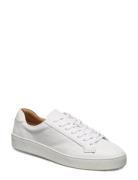 Salas Designers Sneakers Low-top Sneakers White Tiger Of Sweden