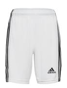 Squadra 21 Short Youth Sport Shorts Sport Shorts White Adidas Performa...