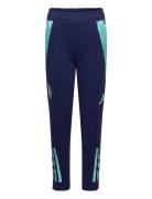 Arsenal Fc Tr Pnt Y Sport Sweatpants Blue Adidas Performance