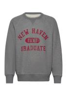 Graphic C-Neck Sweat Tops Sweatshirts & Hoodies Sweatshirts Grey GANT