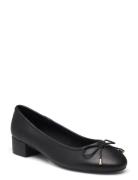 Cherish Ballerina Ballerinasko Ballerinaer Black Steve Madden