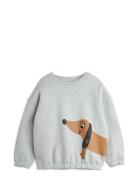 Dog Sp Sweatshirt Tops Sweatshirts & Hoodies Sweatshirts Grey Mini Rod...