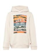 Lvb Landscape Box Hoodie / Lvb Landscape Box Hoodie Tops Sweatshirts &...