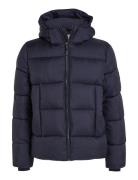 Hooded Quilt Puffer Mw Uldfrakke Frakke Navy Calvin Klein