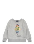 Polo Bear Fleece Sweatshirt Tops Sweatshirts & Hoodies Sweatshirts Gre...