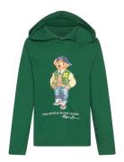 Polo Bear Cotton Jersey Hooded Tee Tops Sweatshirts & Hoodies Hoodies ...