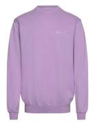 Stan Og Crew Designers Sweatshirts & Hoodies Sweatshirts Purple Stan R...