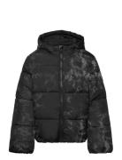 Puffer Jacket Foret Jakke Black Tom Tailor