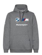 Bmw Mms Ess Hoodie Fleece Sport Sweatshirts & Hoodies Hoodies Grey PUM...