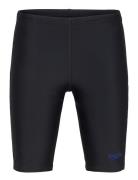 Boys Plastisol Placement Jammer Sport Swimshorts Black Speedo