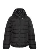 Hooded Jacket Sport Jackets & Coats Puffer & Padded Black Champion