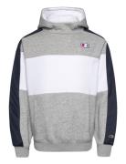 Hooded Sweatshirt Tops Sweatshirts & Hoodies Hoodies Grey Champion