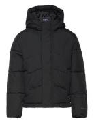 Jjworld Puffer Jacket Mni Foret Jakke Black Jack & J S