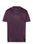 Hmlmulti Pl Jersey Kids Sport T-Kortærmet Skjorte Purple Hummel